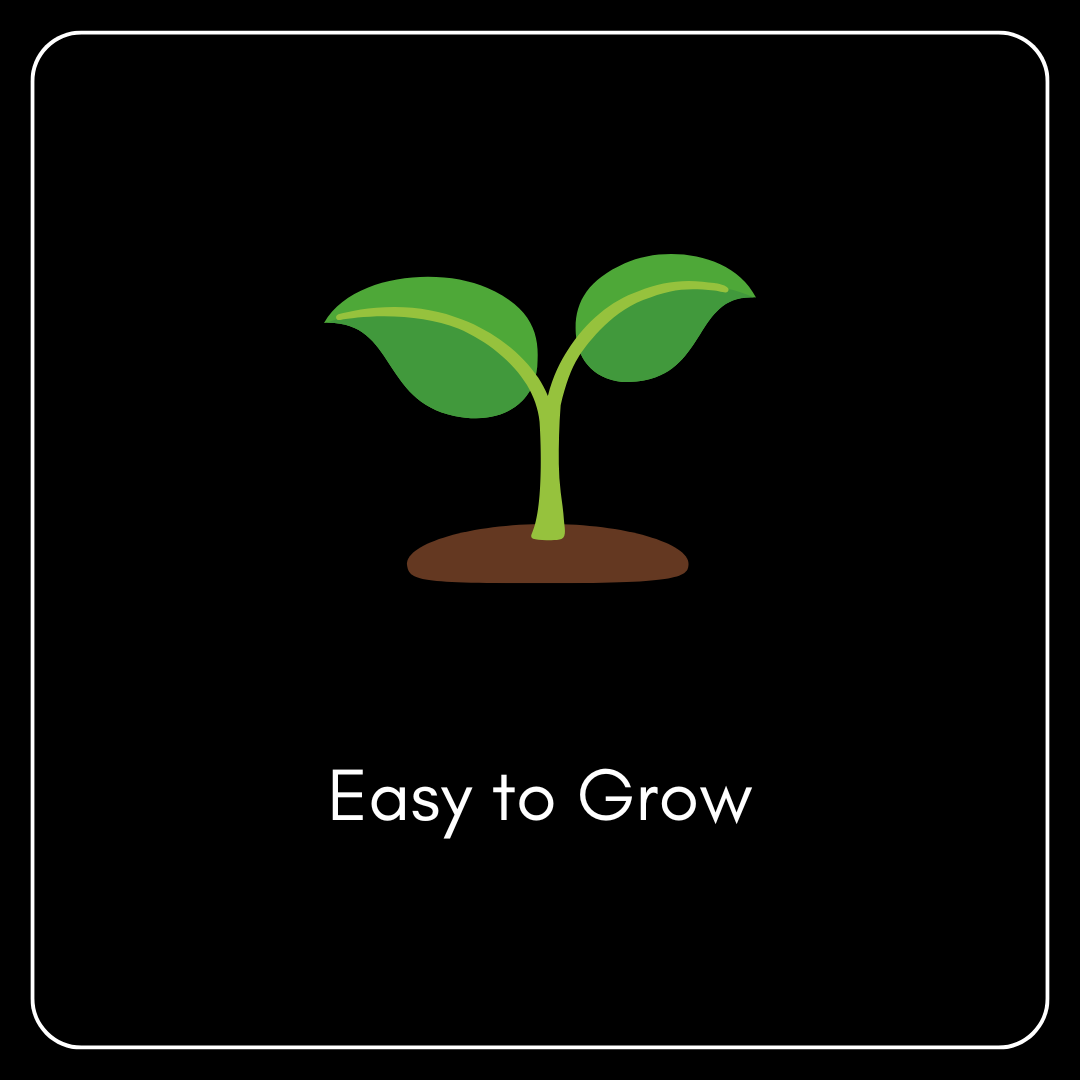 Easy to Grow