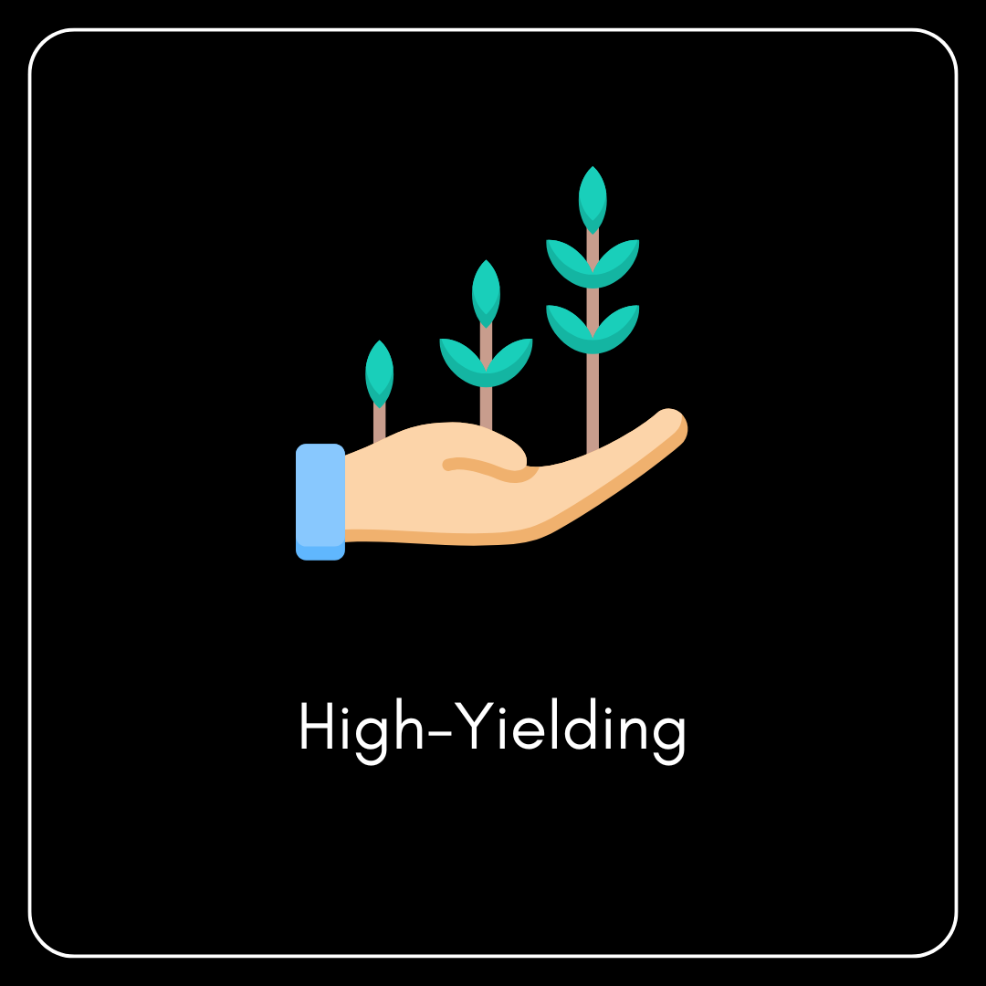 High-Yielding